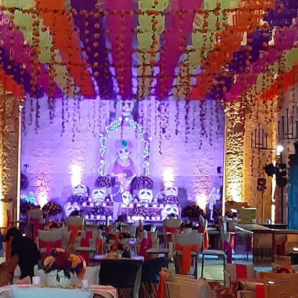 Meet your Posher, Iveth - Picture 1 of 1